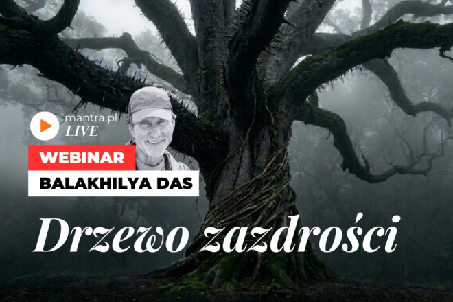 LIVE z Balakhilya das: Drzewo zazdrości