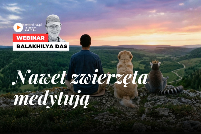 LIVE z Balakhilya das: Nawet zwierzęta medytują LIVE z Balakhilya das: Nawet zwierzęta medytują