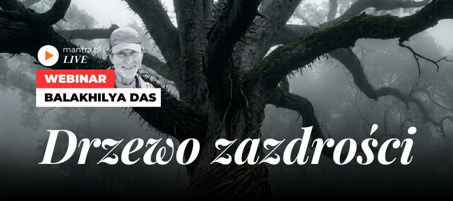 LIVE z Balakhilya das: Drzewo zazdrości