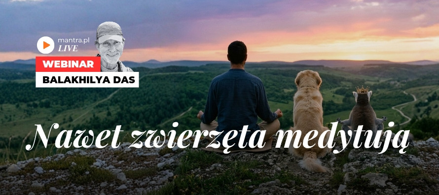 LIVE z Balakhilya das: Nawet zwierzęta medytują